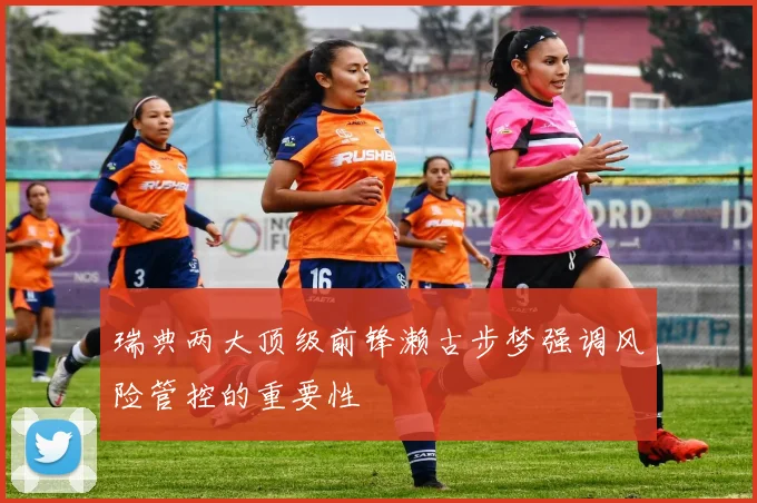 瑞典两大顶级前锋濑古步梦强调风险管控的重要性