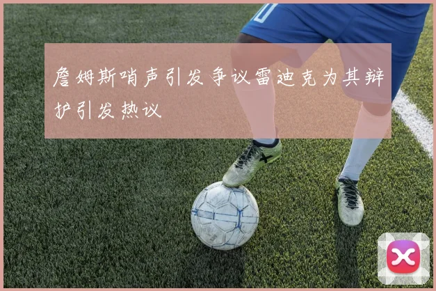 詹姆斯哨声引发争议雷迪克为其辩护引发热议