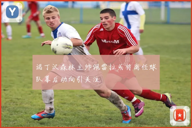 诺丁汉森林主帅佩雷拉或将离任球队幕后动向引关注